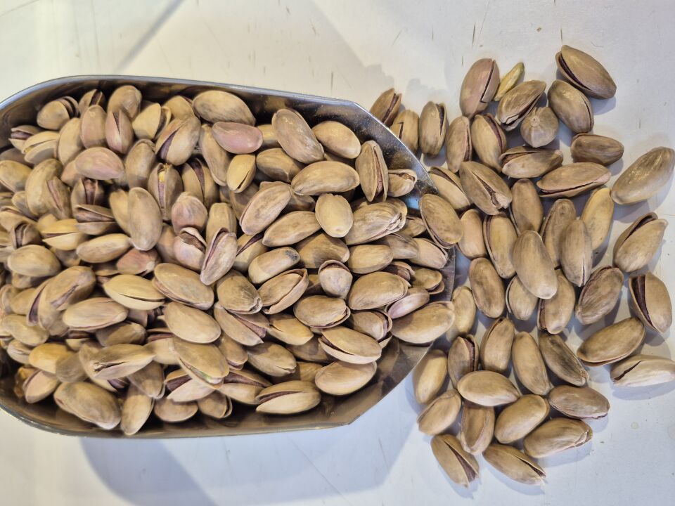 Antep fıstığı